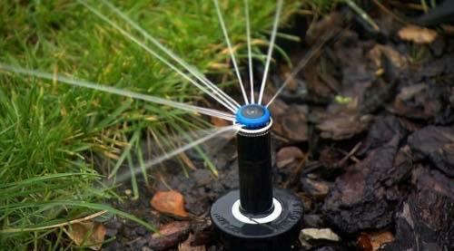 Automatyczne nawadnianie - PROJEKT , MONTAŻ- SERWIS