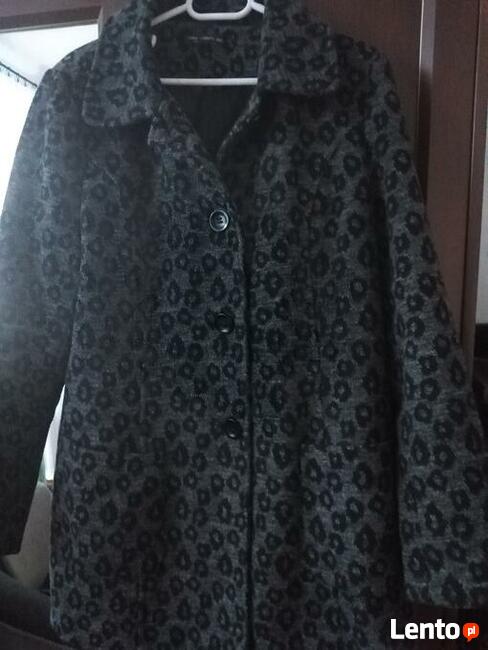 Płaszczyk w centki