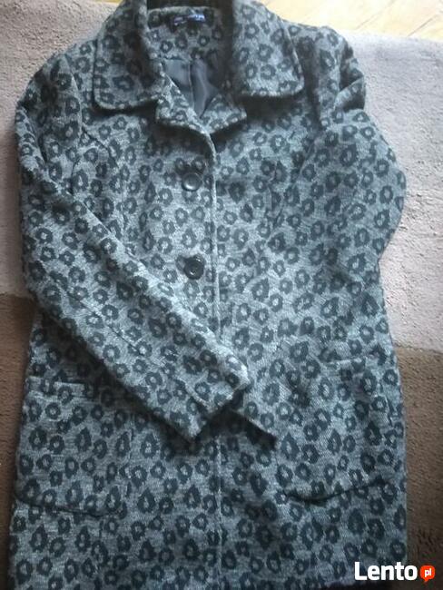 Płaszczyk w centki