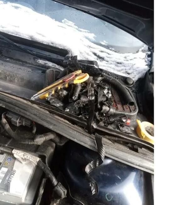 Elektryk samochodowy naprawa elektroniki Opole Wrocław elekt