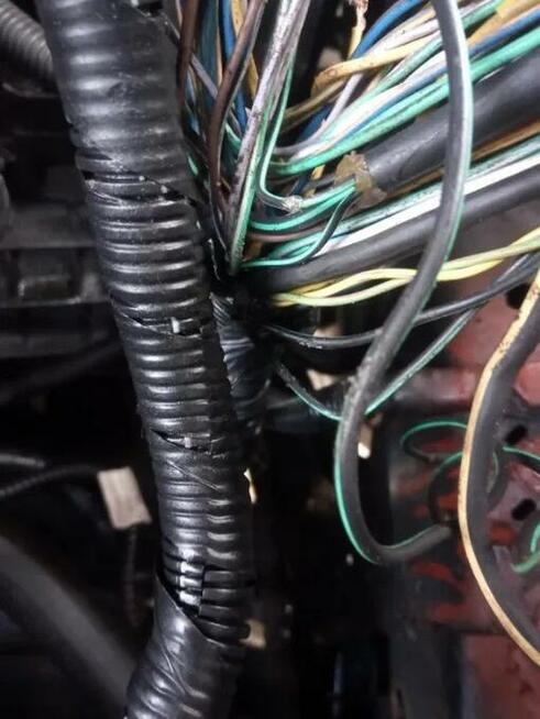 Elektryk samochodowy naprawa elektroniki Opole Wrocław elekt