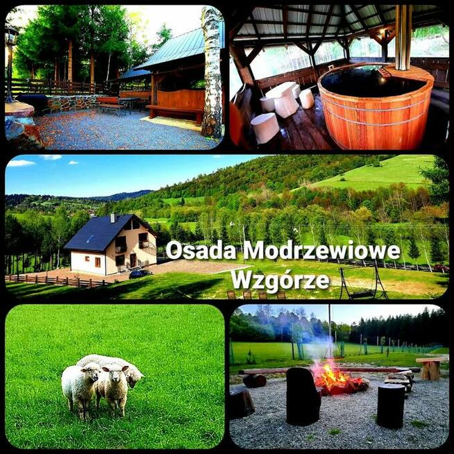 OSADA MODRZEWIOWE WZGÓRZE