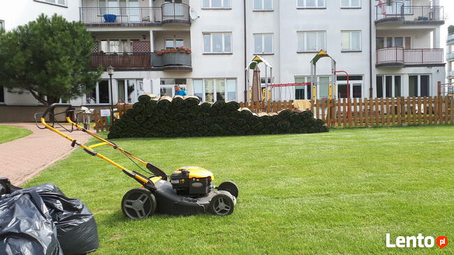 OGRODNIK jesienne Odnawianie ogrodu Trawnik
