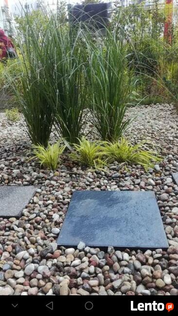 OGRODNIK jesienne Odnawianie ogrodu Trawnik