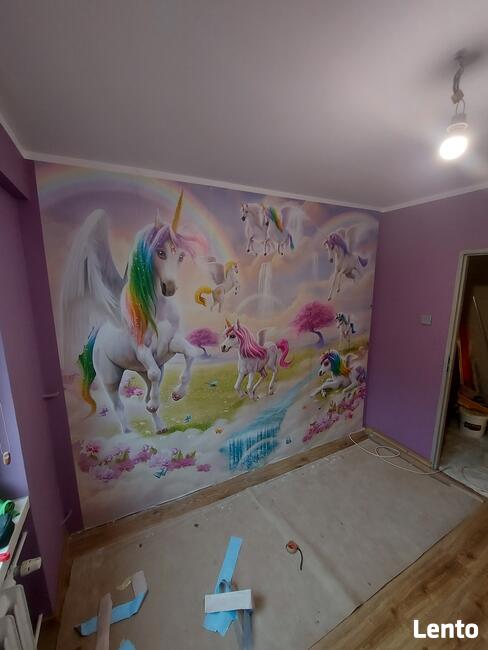 Remont malowanie montaz drzwi wykonczeniowka