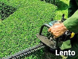 Wycinka wysokich drzew, usuwanie karp i przycinanie gałęzi.