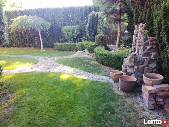 OGRODNIK jesienne Odnawianie ogrodu Trawnik