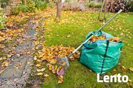 Sprzątanie ogrodów i posesji - Olsztyn