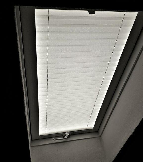 rolety dachowe plisy