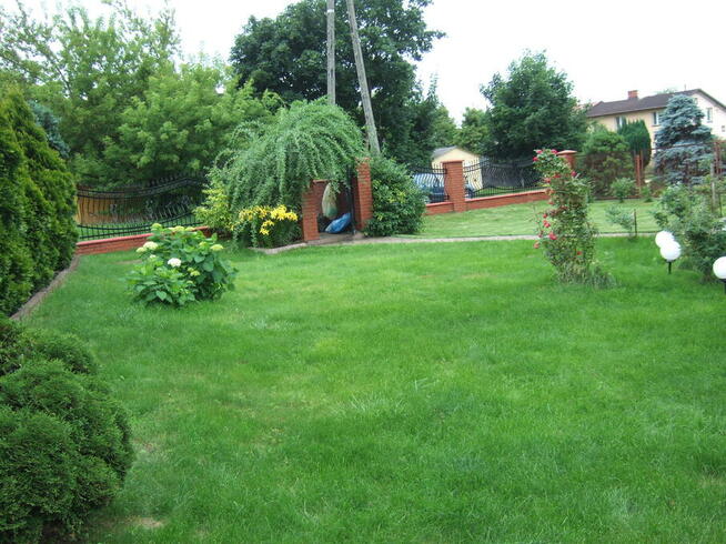 Dom w dobrej lokalizacji z dużą działką.