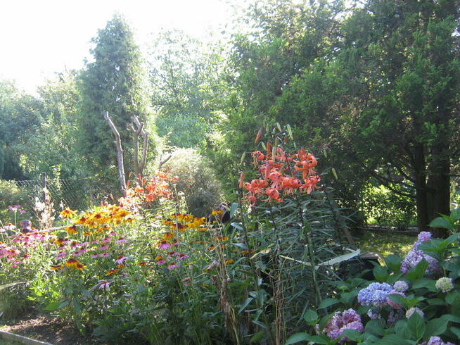 ogród działka 390 m2