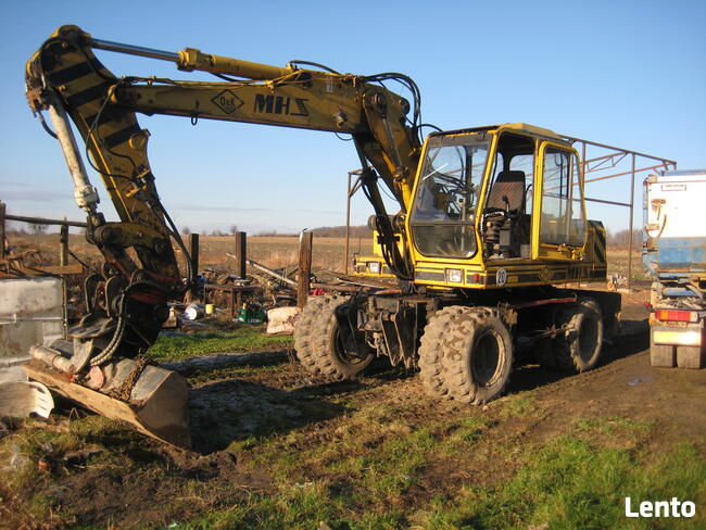 Wycinka, karczowanie korzeni, sprzątanie, koszenie, porządki