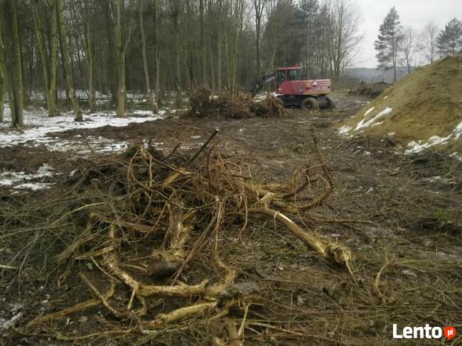 Wycinka, karczowanie korzeni, sprzątanie, koszenie, porządki