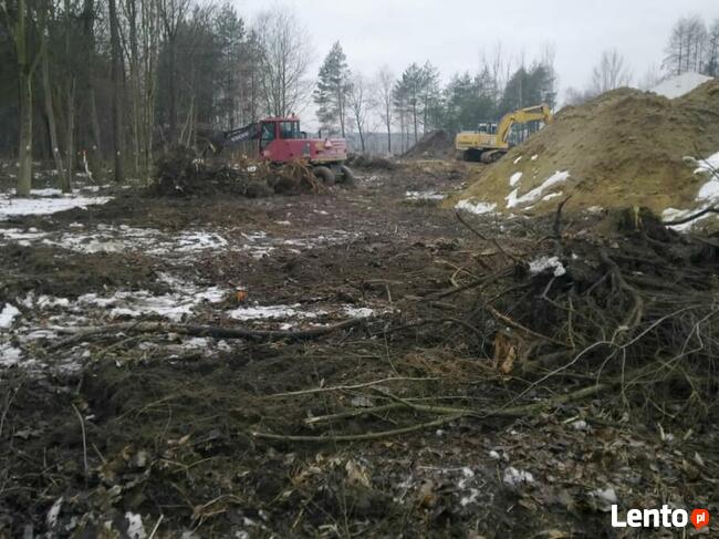 Wycinka, karczowanie korzeni, sprzątanie, koszenie, porządki