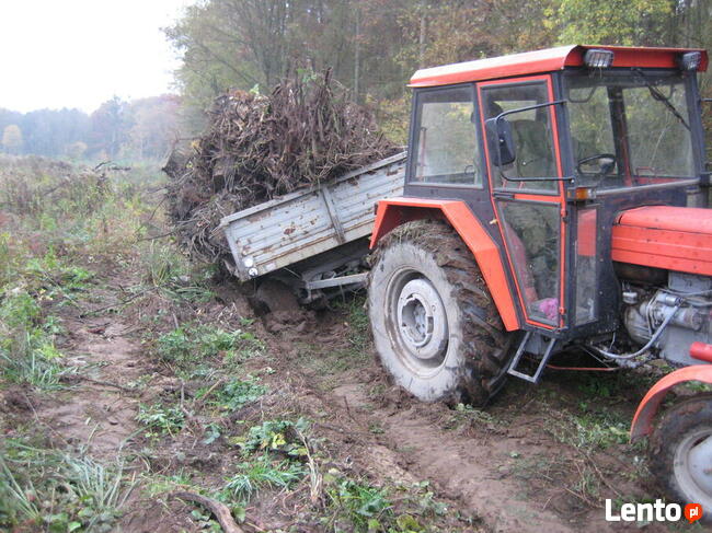 Wycinka, karczowanie korzeni, sprzątanie, koszenie, porządki