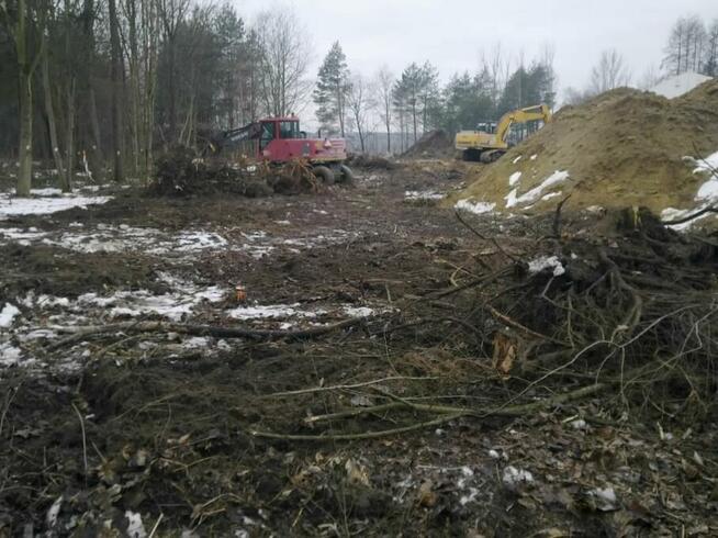 Wycinka, karczowanie korzeni, sprzątanie, koszenie, porządki