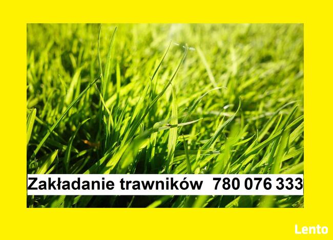 Zakładanie trawników Tarnowskie Góry, Śląsk i Zagłebie
