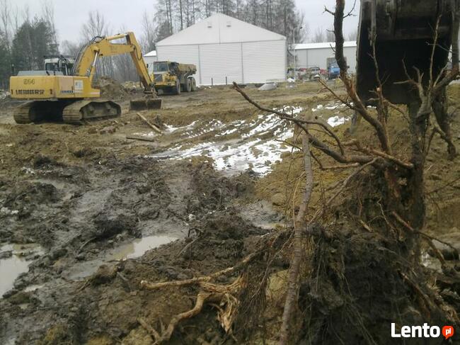 Wycinka, karczowanie korzeni, sprzątanie, koszenie, porządki