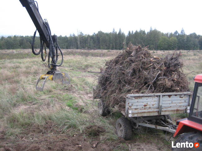 Wycinka, karczowanie korzeni, sprzątanie, koszenie, porządki