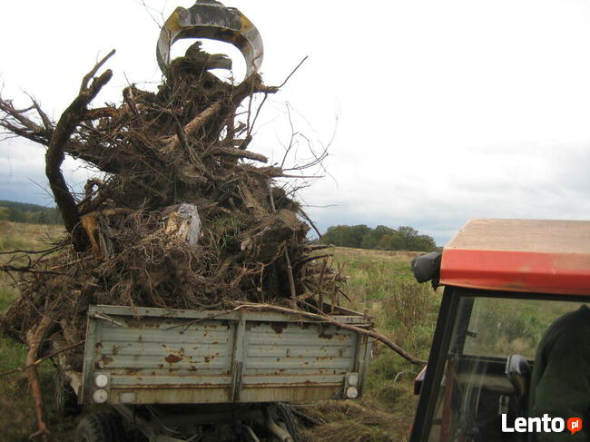 Wycinka, karczowanie korzeni, sprzątanie, koszenie, porządki