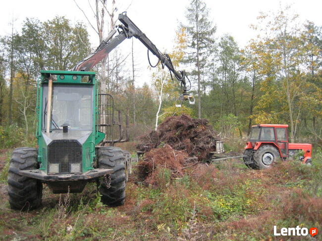 Wycinka, karczowanie korzeni, sprzątanie, koszenie, porządki