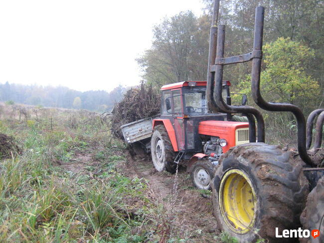 Wycinka, karczowanie korzeni, sprzątanie, koszenie, porządki