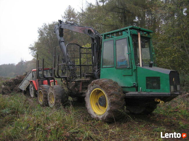 Wycinka, karczowanie korzeni, sprzątanie, koszenie, porządki