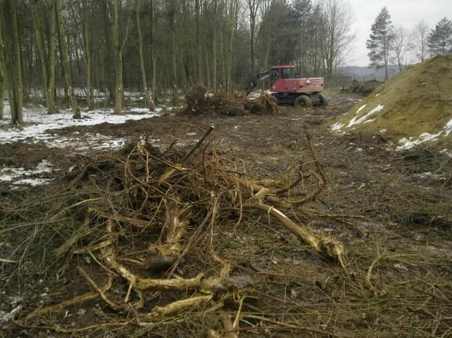 Wycinka, karczowanie korzeni, sprzątanie, koszenie, porządki