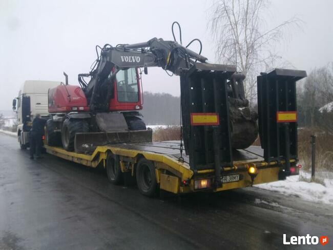 Wycinka, karczowanie korzeni, sprzątanie, koszenie, porządki