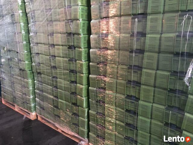 Łubianki, koszyczki plastikowe