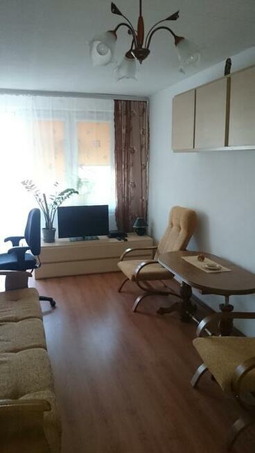 Mies, kanie 2 pokojowe