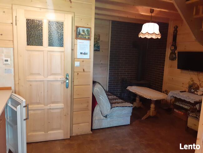 Domki na wynajem. Leśne domki. Domki letniskowe. Wczasy.