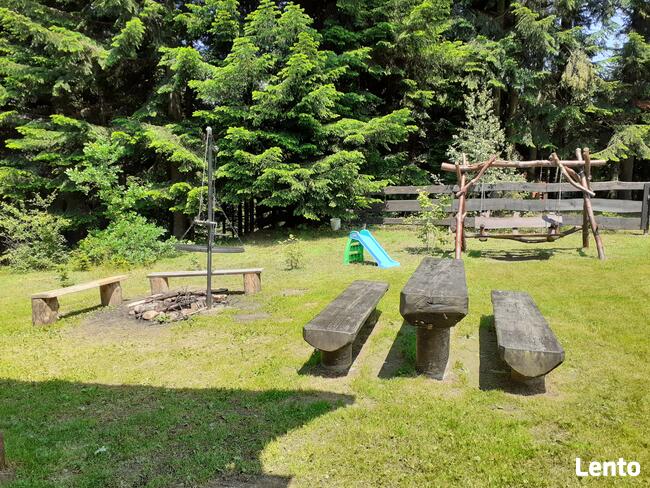 Domki na wynajem. Leśne domki. Domki letniskowe. Wczasy.