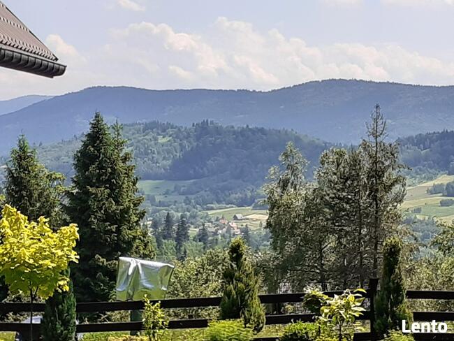 Domki na wynajem. Leśne domki. Domki letniskowe. Wczasy.