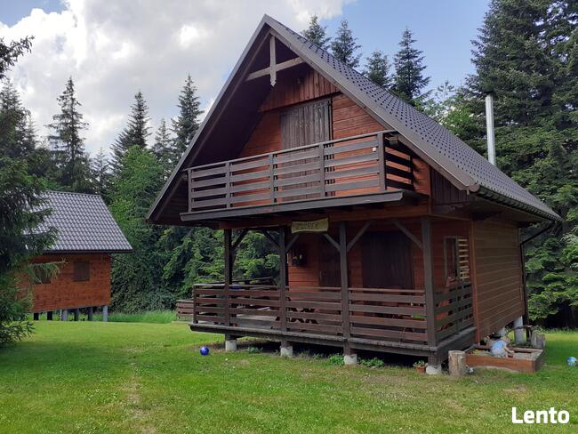 Domki na wynajem. Leśne domki. Domki letniskowe. Wczasy.