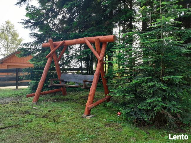 Domki na wynajem. Leśne domki. Domki letniskowe. Wczasy.