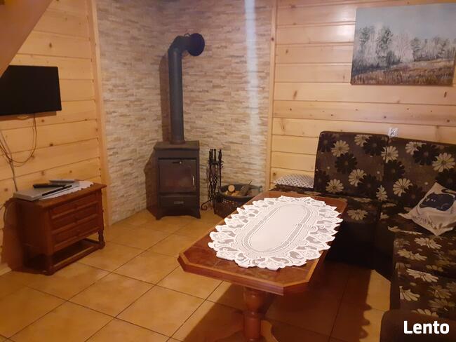 Domki na wynajem. Leśne domki. Domki letniskowe. Wczasy.