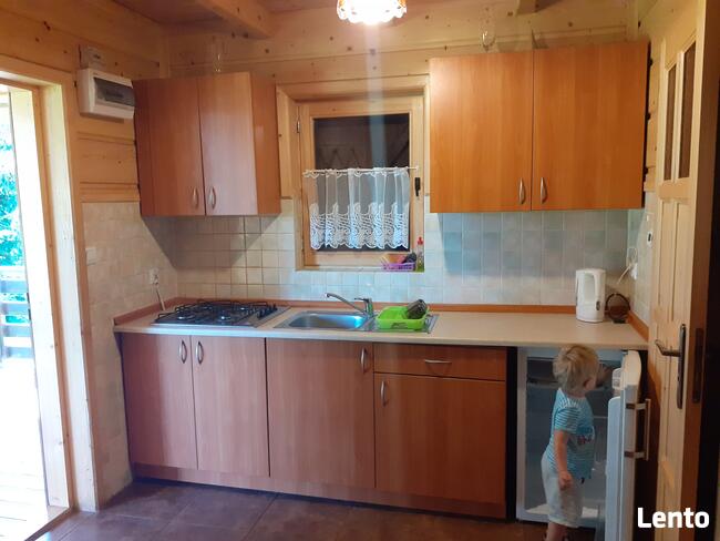 Domki na wynajem. Leśne domki. Domki letniskowe. Wczasy.