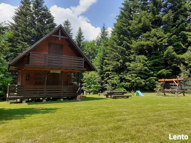 Domki na wynajem. Leśne domki. Domki letniskowe. Wczasy.