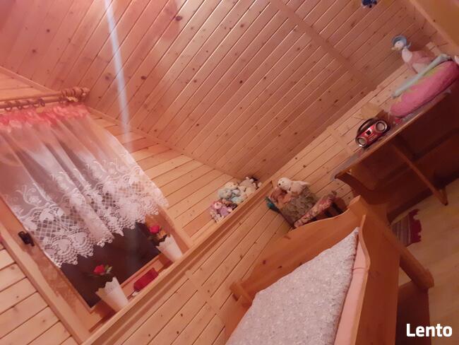 Domki na wynajem. Leśne domki. Domki letniskowe. Wczasy.