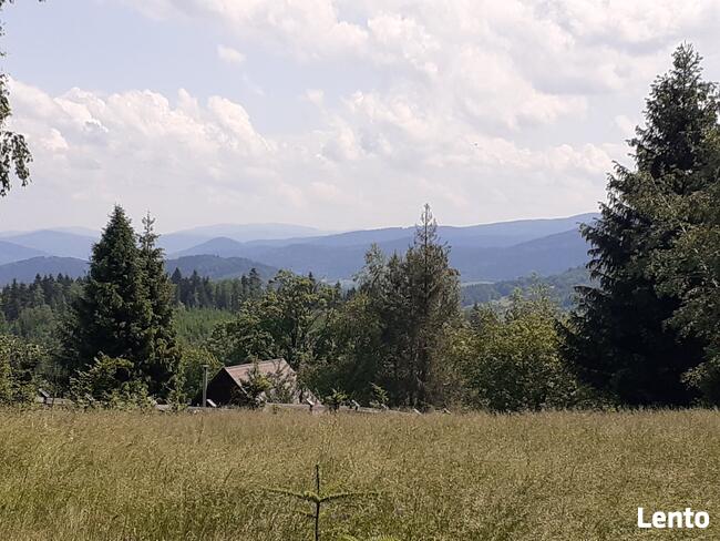 Domki na wynajem. Leśne domki. Domki letniskowe. Wczasy.