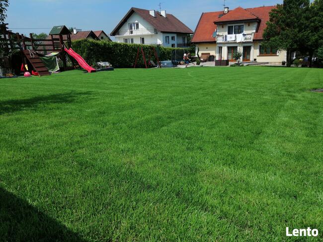 Wertkulacja Tarnów Pielęgnacja Trawników