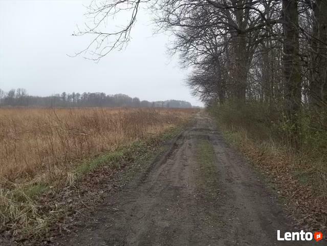 Działka Wilczyce gm. Długołęka