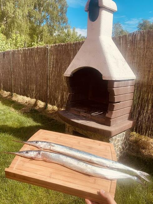 Wczasy rodzinne nad morzem w Niechorzu w OW BELONA!