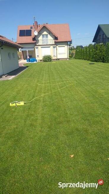 Wertykulacja Trawników Kielce Serwis koszenie Trawników