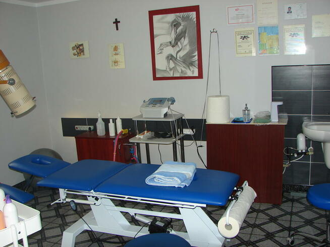 Rehabilitacja masaż, Hirudoterapia