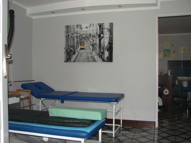 Rehabilitacja masaż, Hirudoterapia