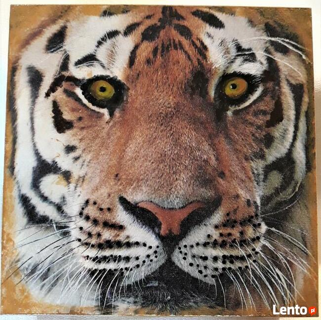 Dla dziecka, szkatułka Tygrys -pudełko na cukierki, szkatułka