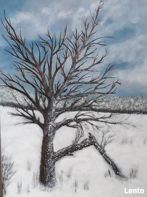Zimowe drzewo- obraz, pejzaż ,zima ,drzewo