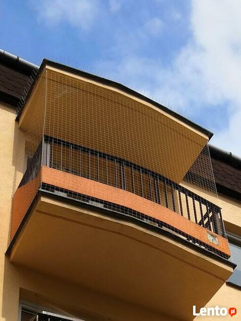 Osiatkowanie balkonu siatka na balkon, sprzątanie po ptakach